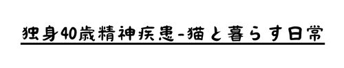 独身40歳精神疾患猫と暮らす日常